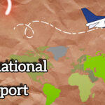 भारत में कितने इंटरनेशनल एयरपोर्ट है भारत में international Airport